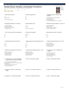 Number Sense, Variables, and Equality Foundations standard preview